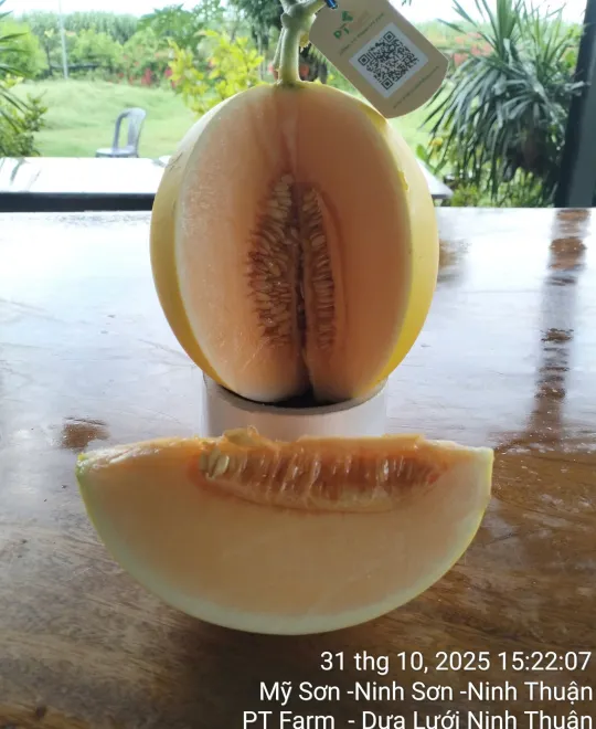 Ngày 62 - Kiểm Tra Độ Ngọt 